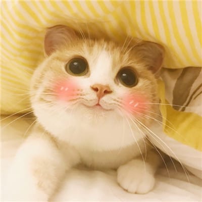 断誓永别